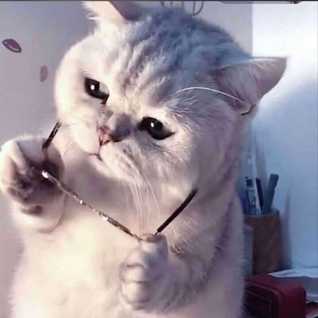 情感语录