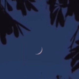 清欢渡的专辑