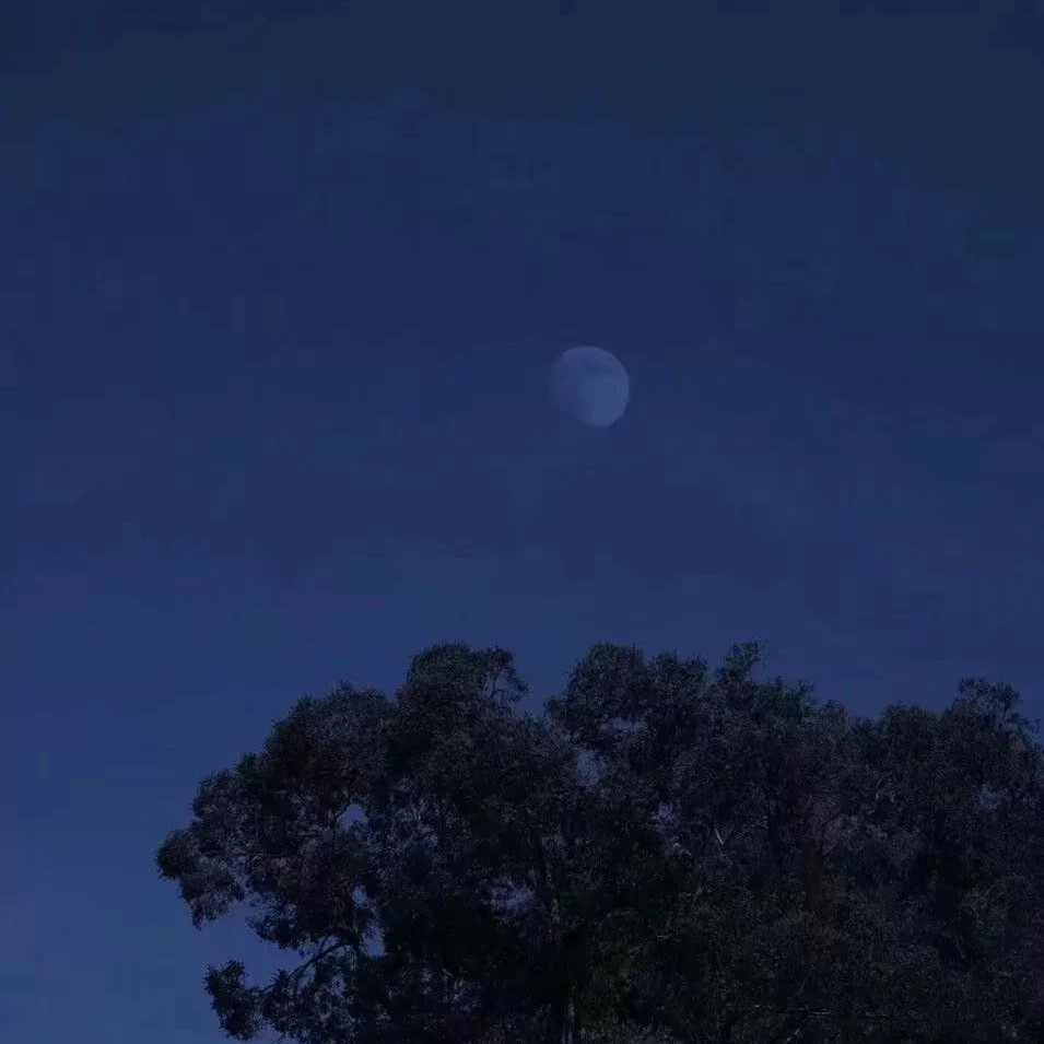 v.的专辑