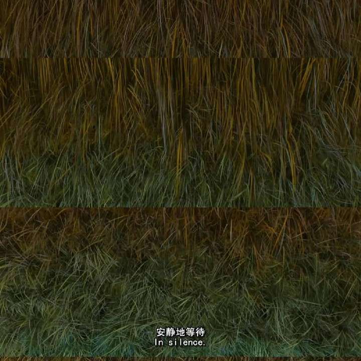 收集