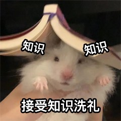 芝士就是力量