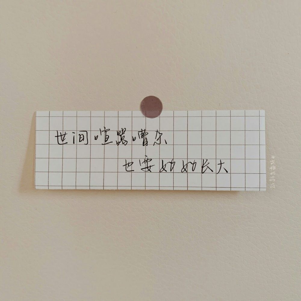 巧者劳而智者忧，无能者无所求。