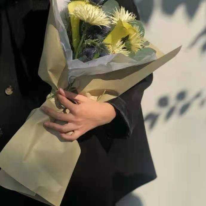 摘录
