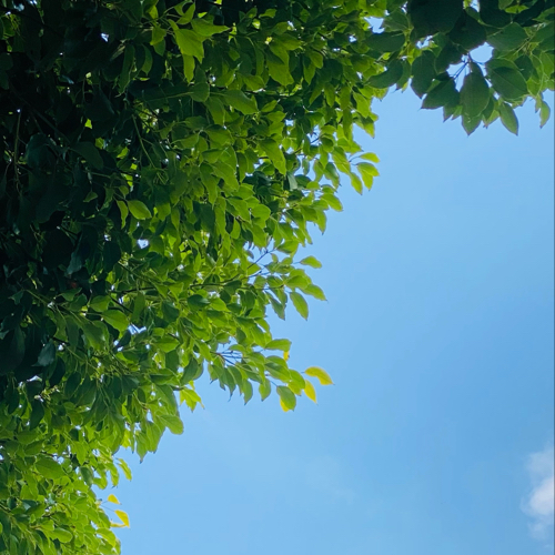 好玩儿
