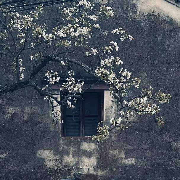 原创 随笔