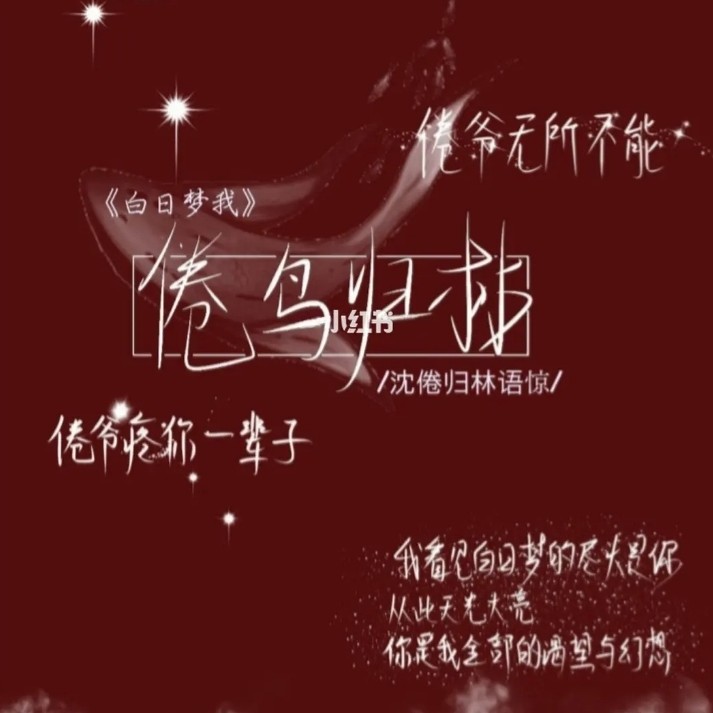 白日梦我