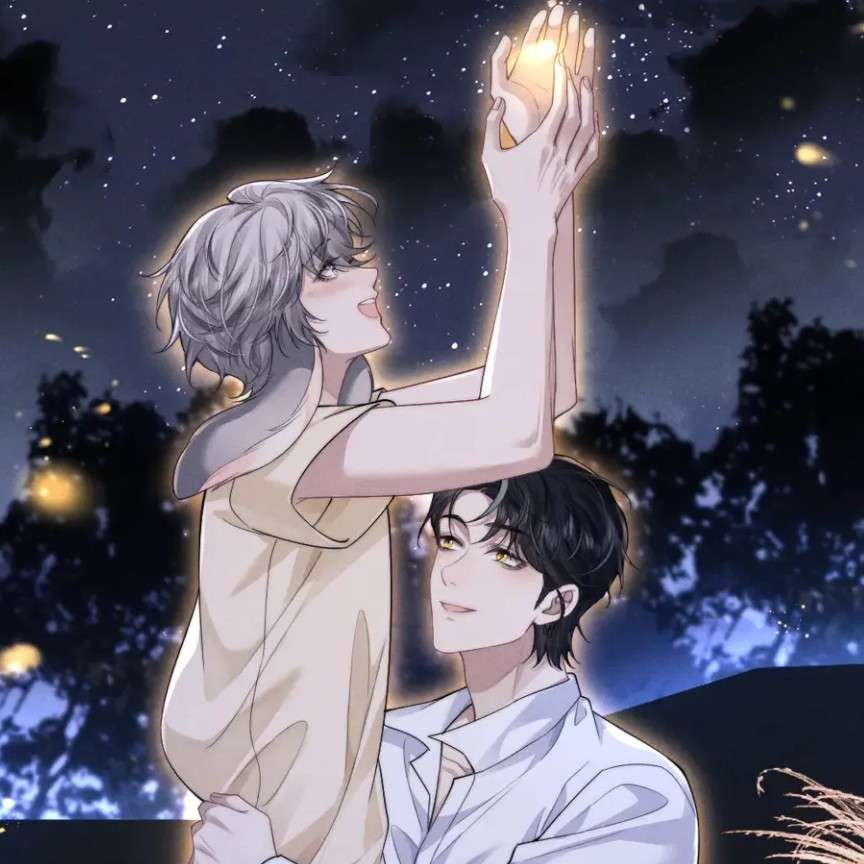 蜉蝣
