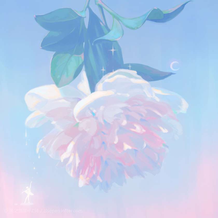 美句专辑