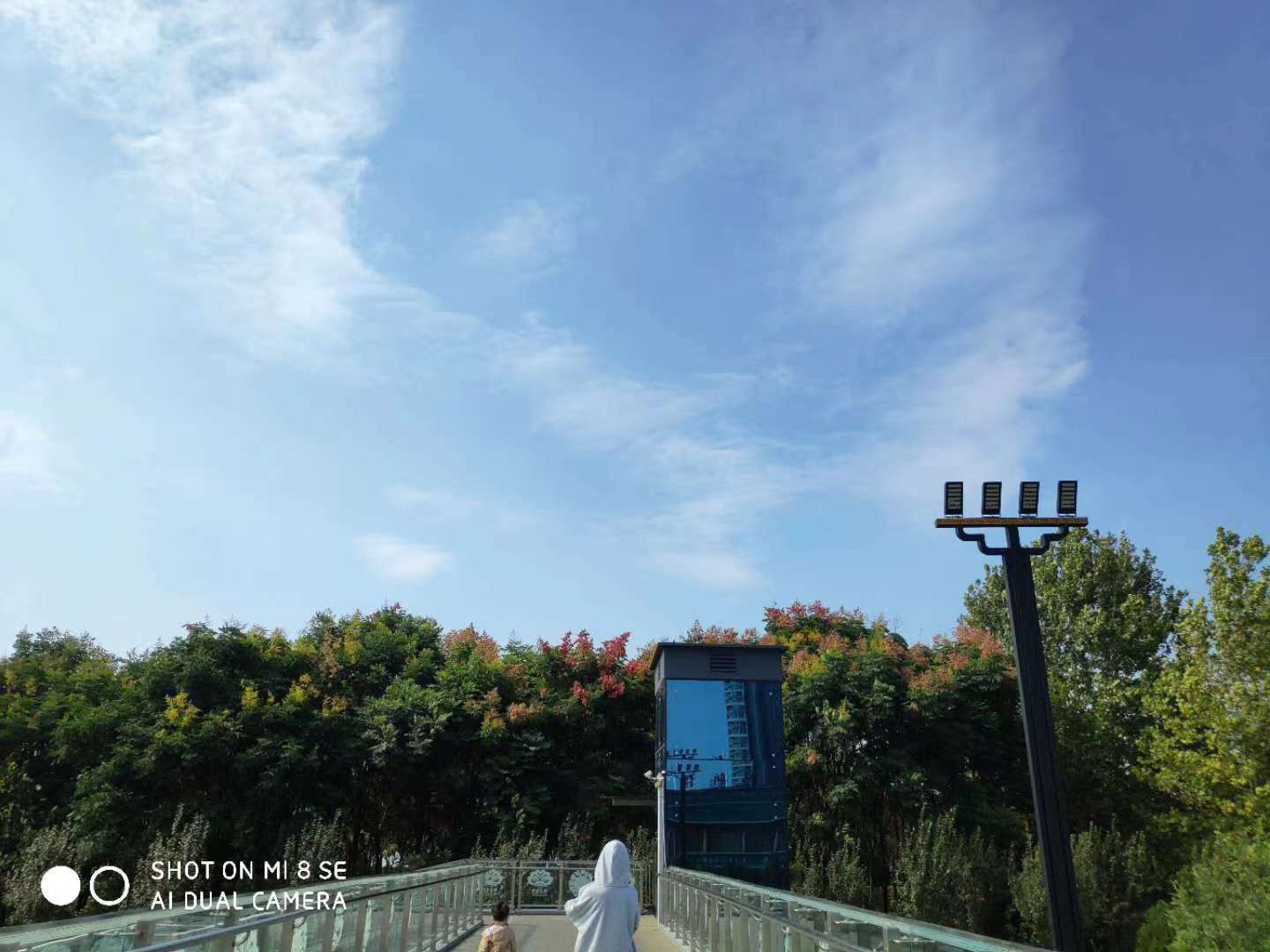恋爱观