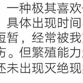 没事看看