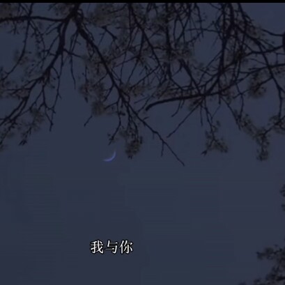 杂系文案