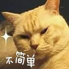 人生