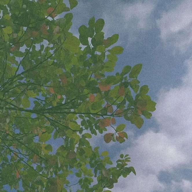 夏天