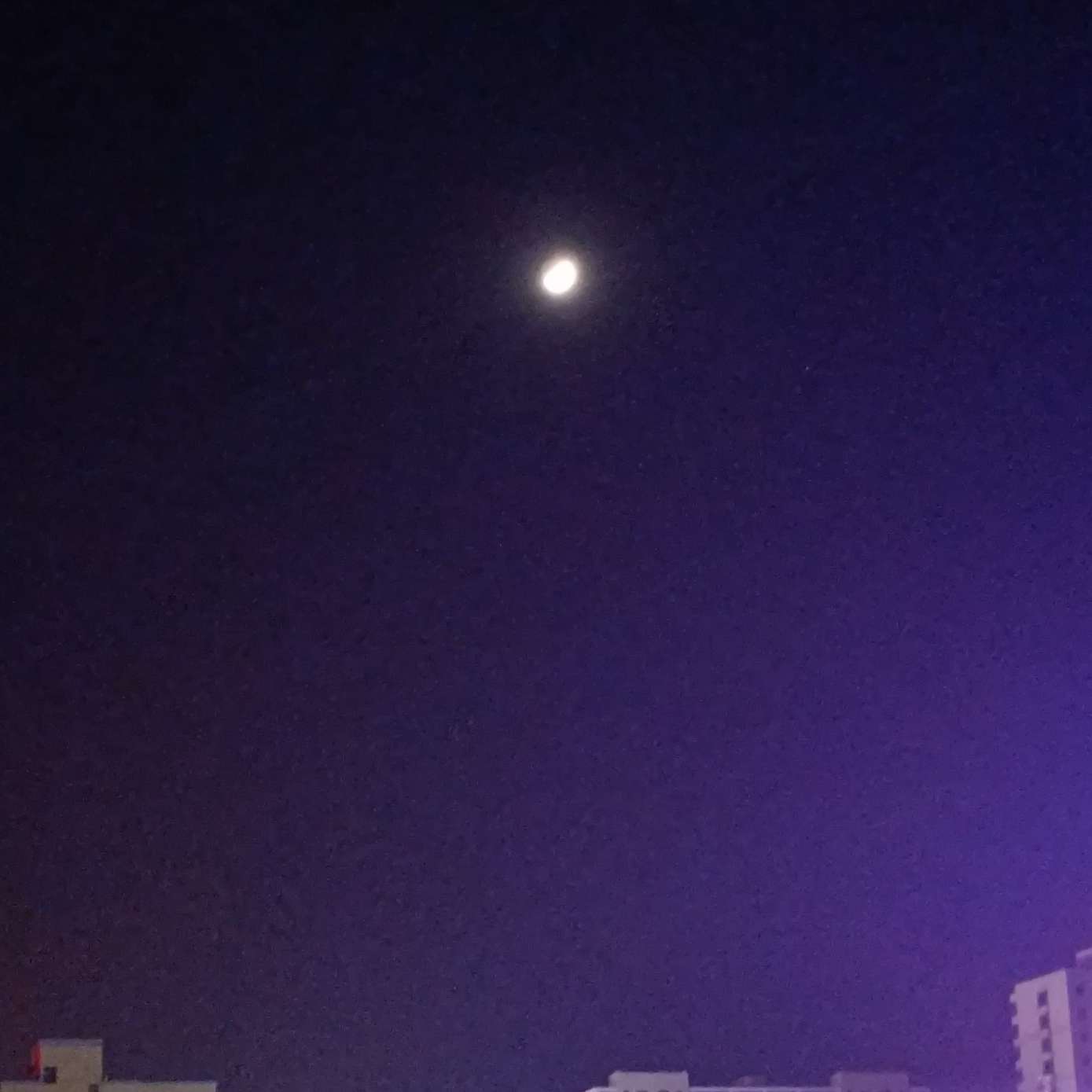 依约。的专辑