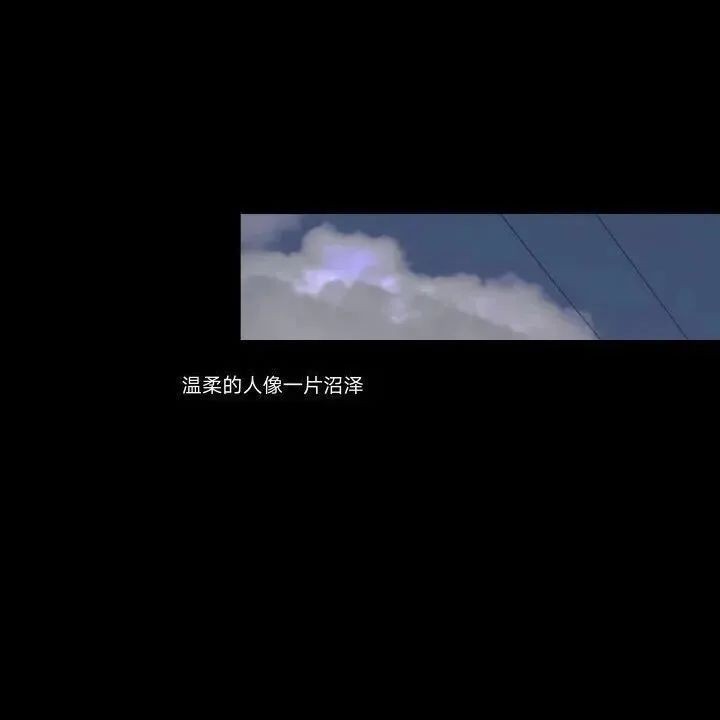 收藏发布优质句子