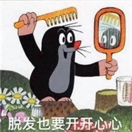 小葵的专辑