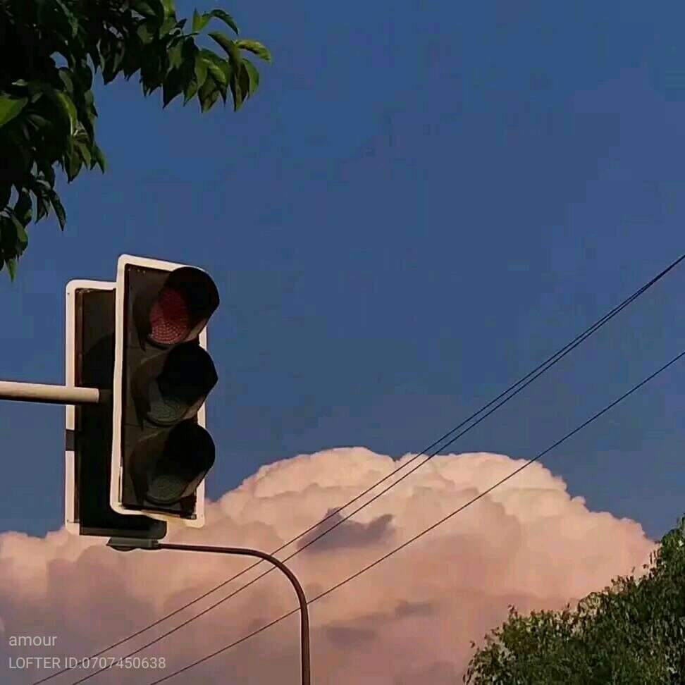 盛夏梅子汤