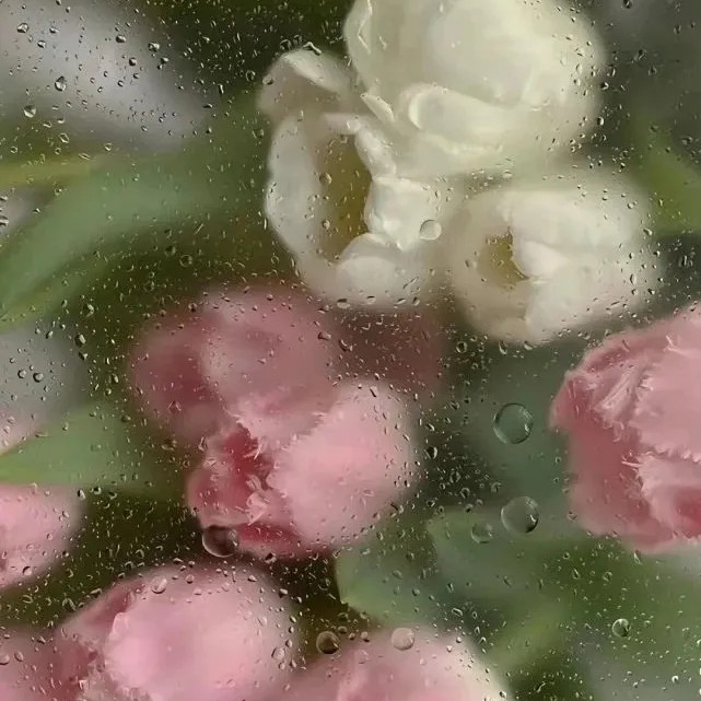 浅丧一下