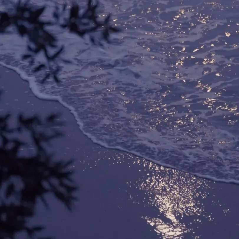 海