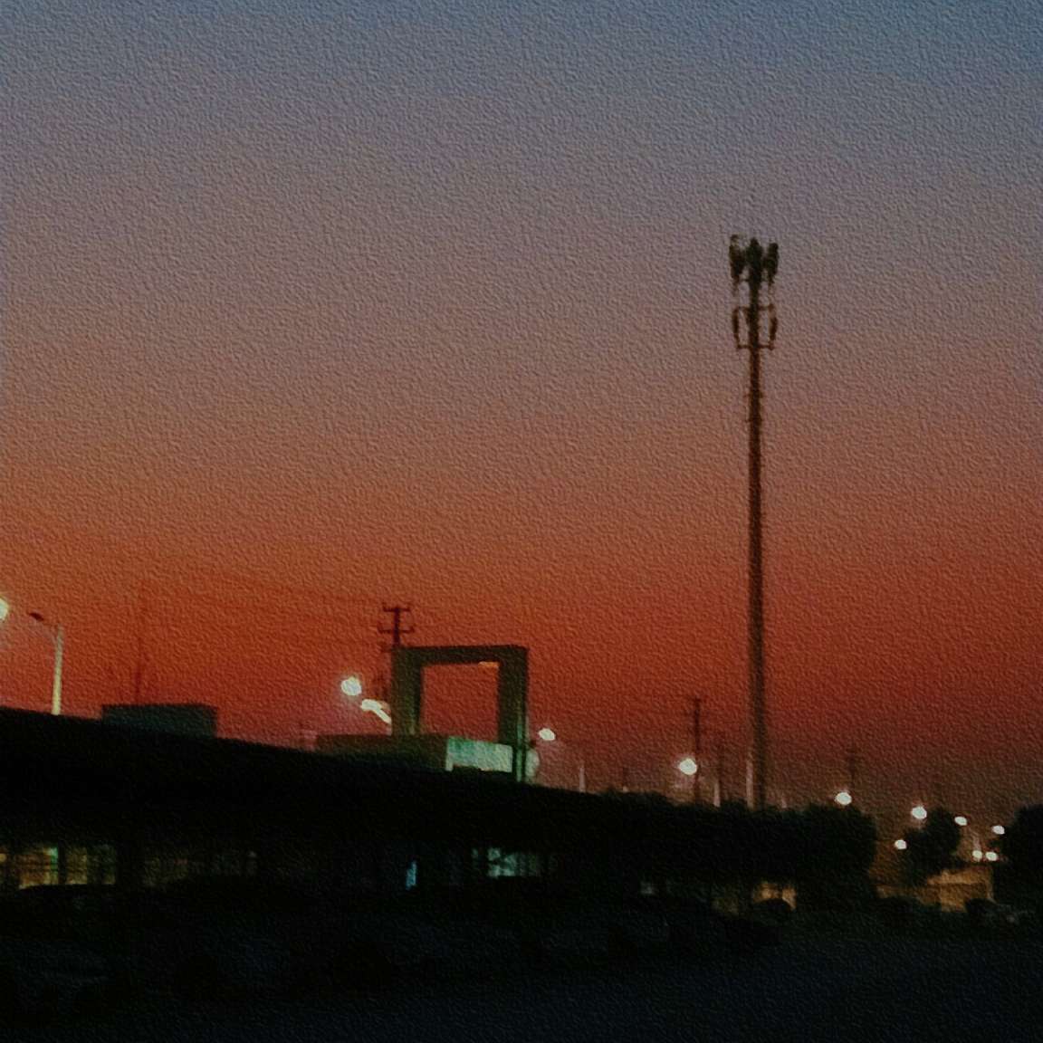 知更鸟