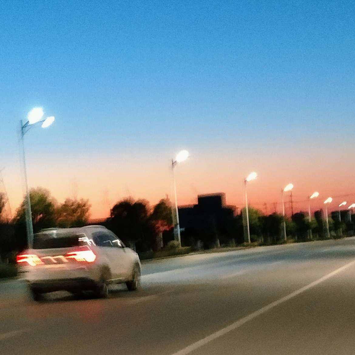 看山不看水
