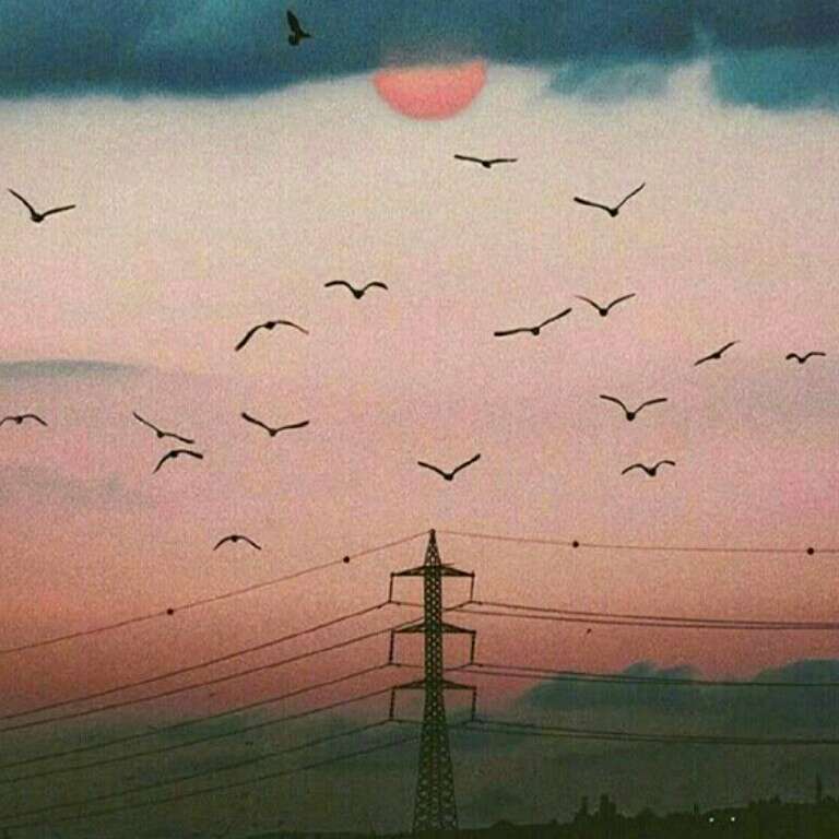 梦