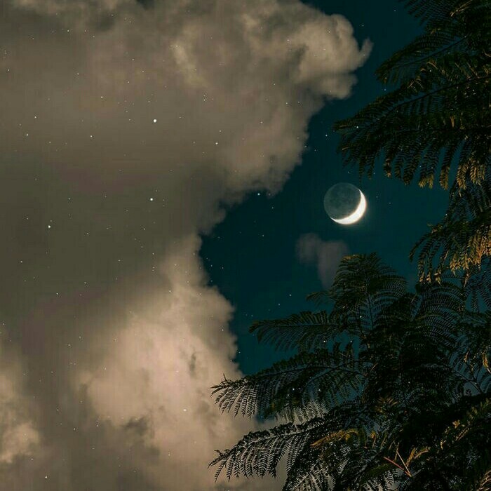 星兮