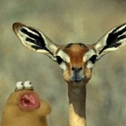 搞笑