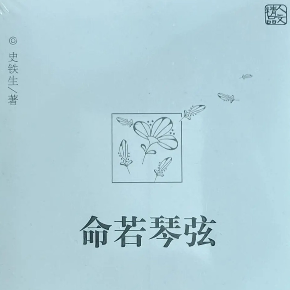 命若琴弦