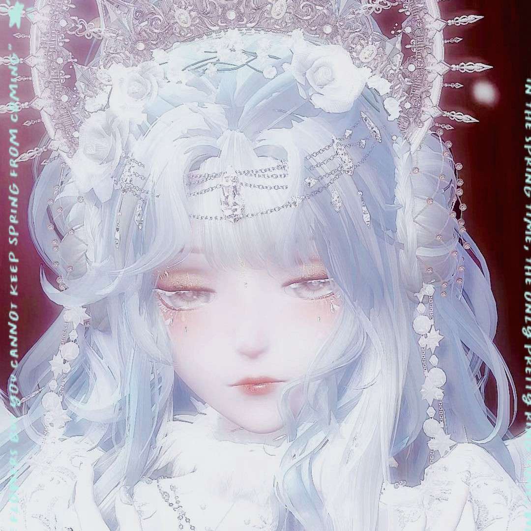 惊鸿