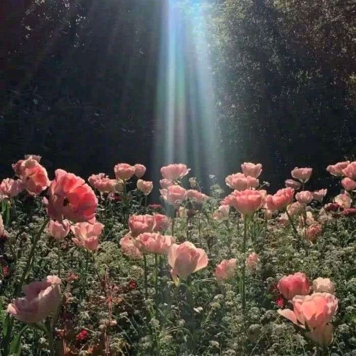 我……