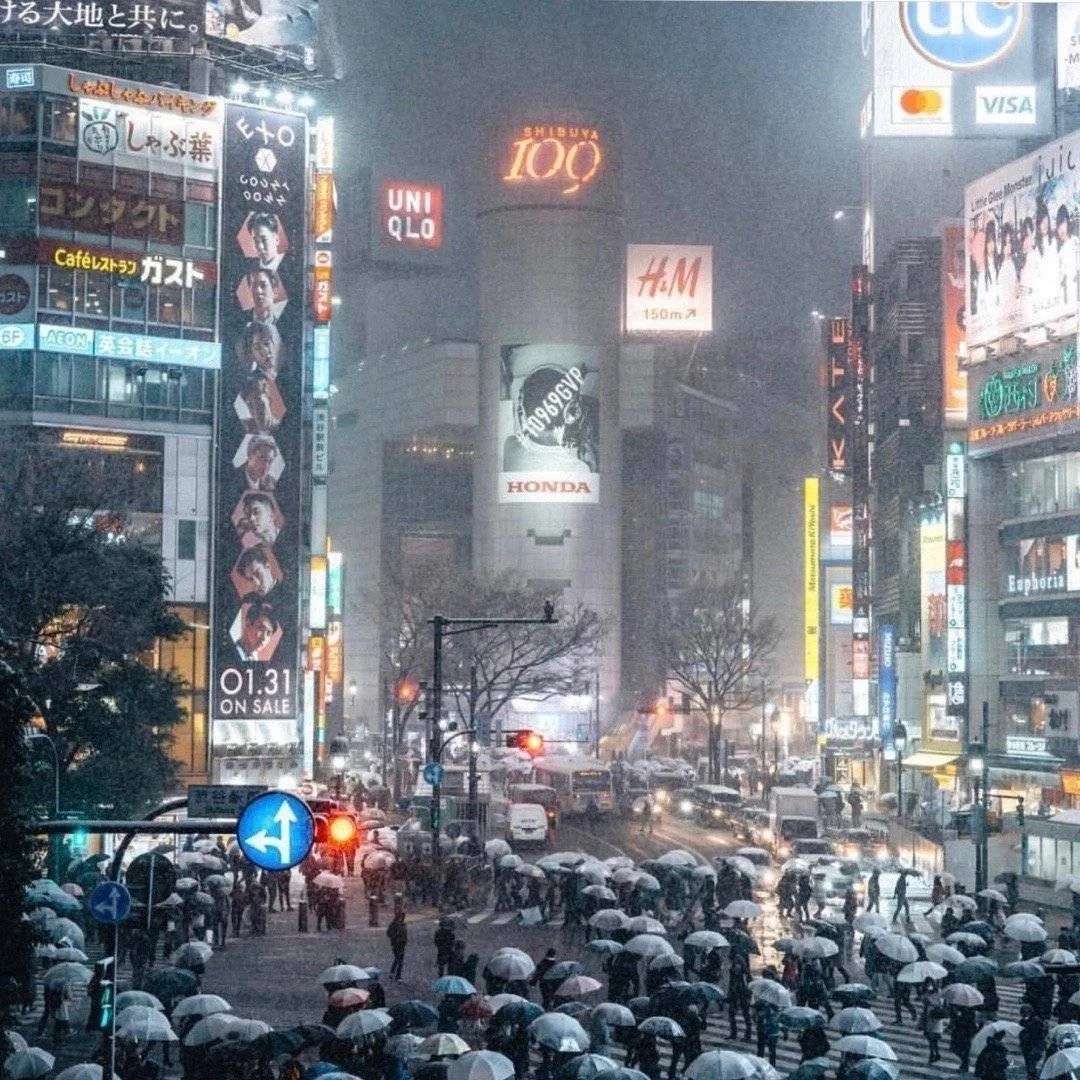 栖息