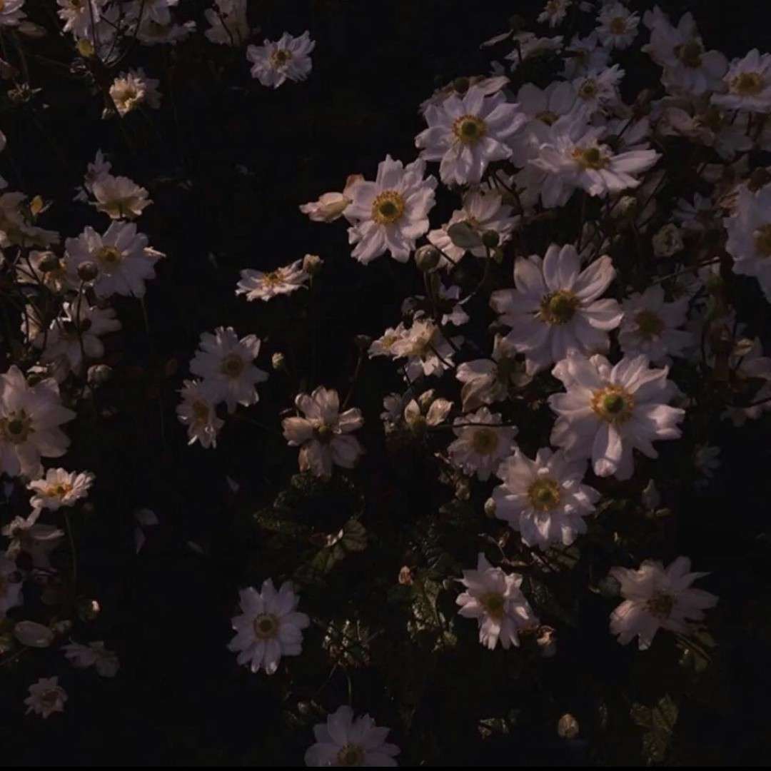 文案