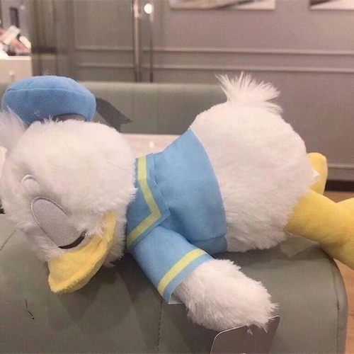 自己爱自己