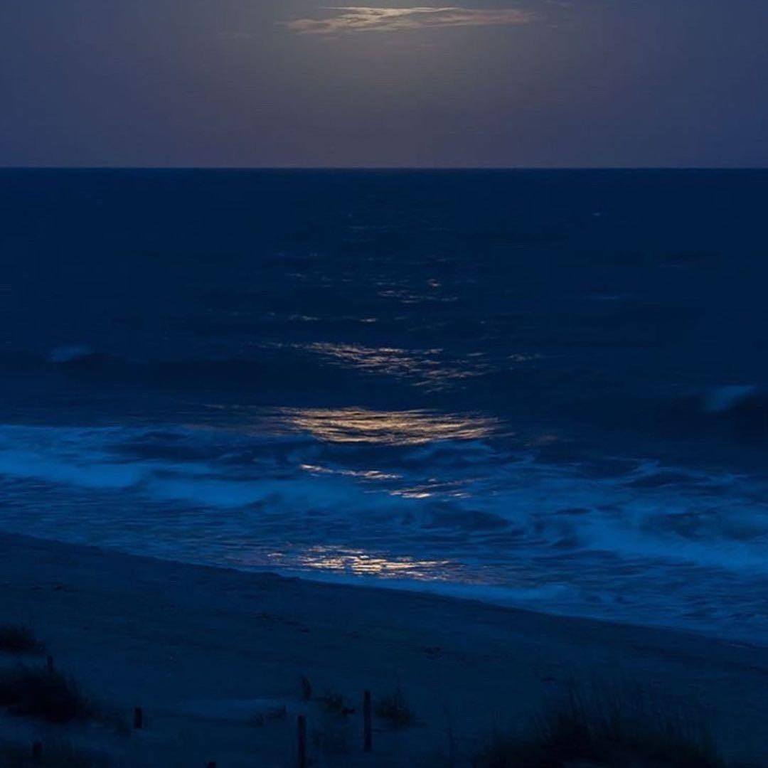 海