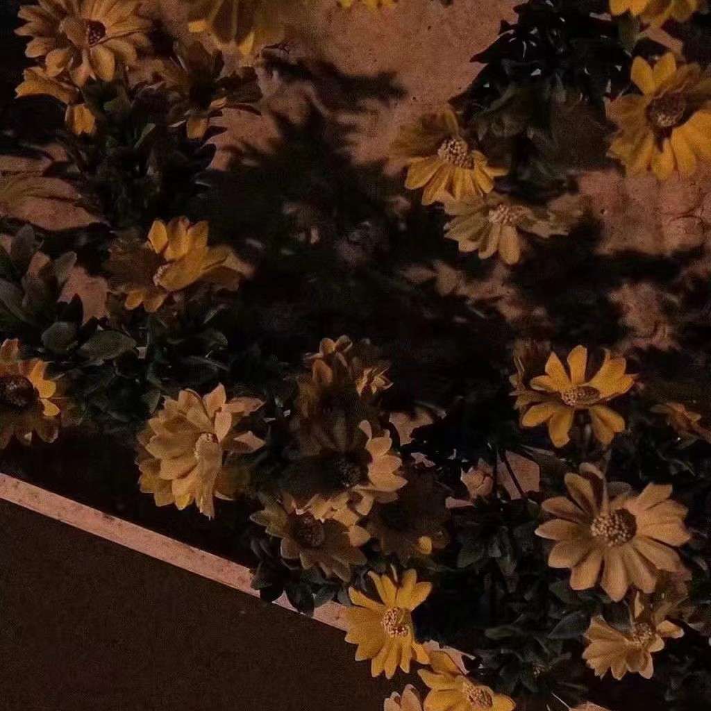 摘抄