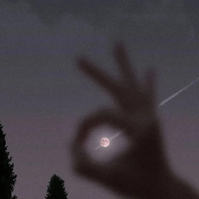 星⭐的专辑