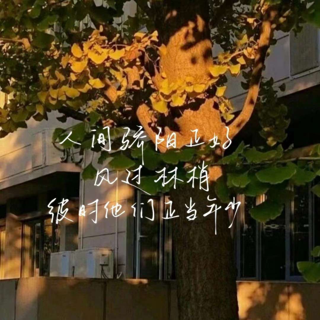 我的专辑