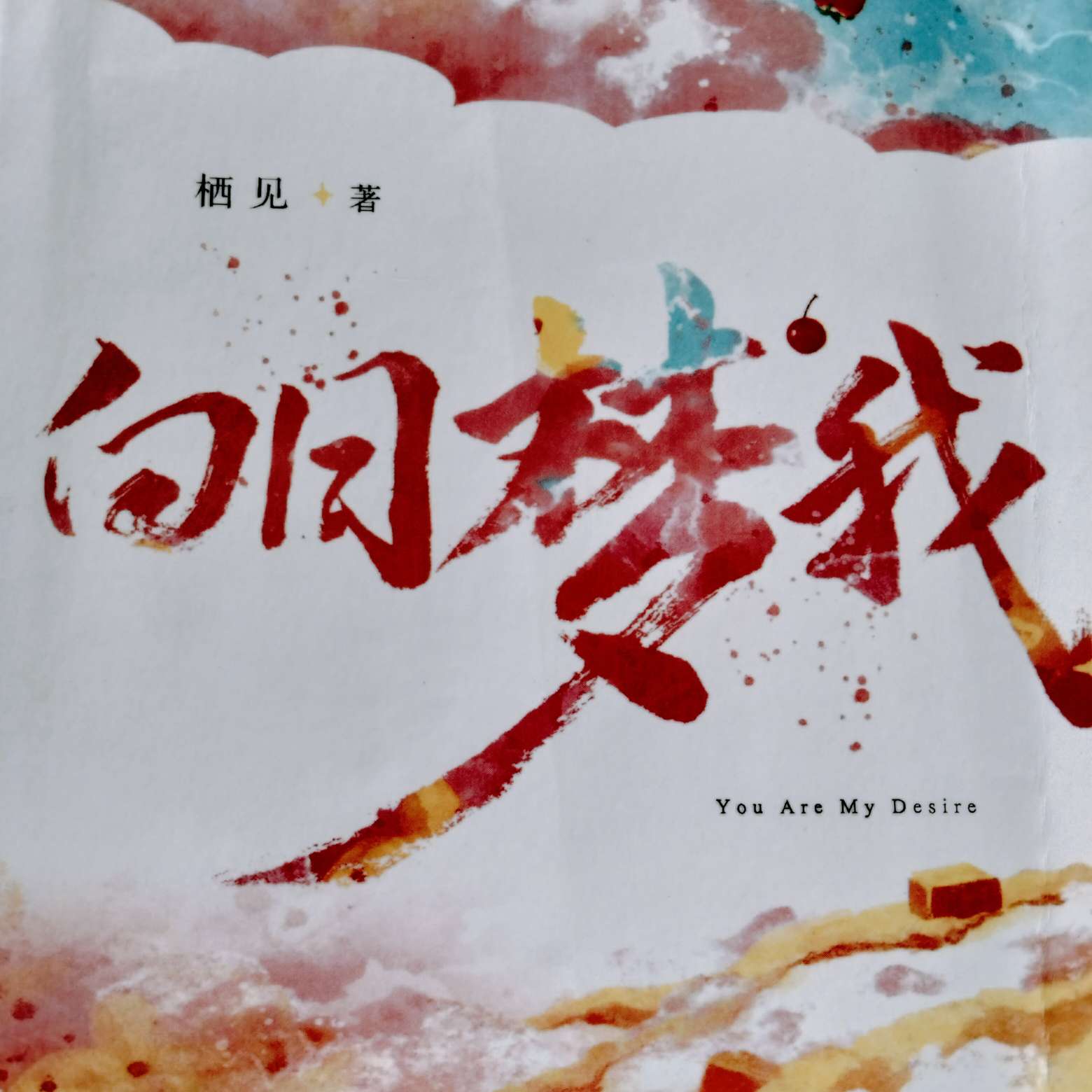 白日梦我