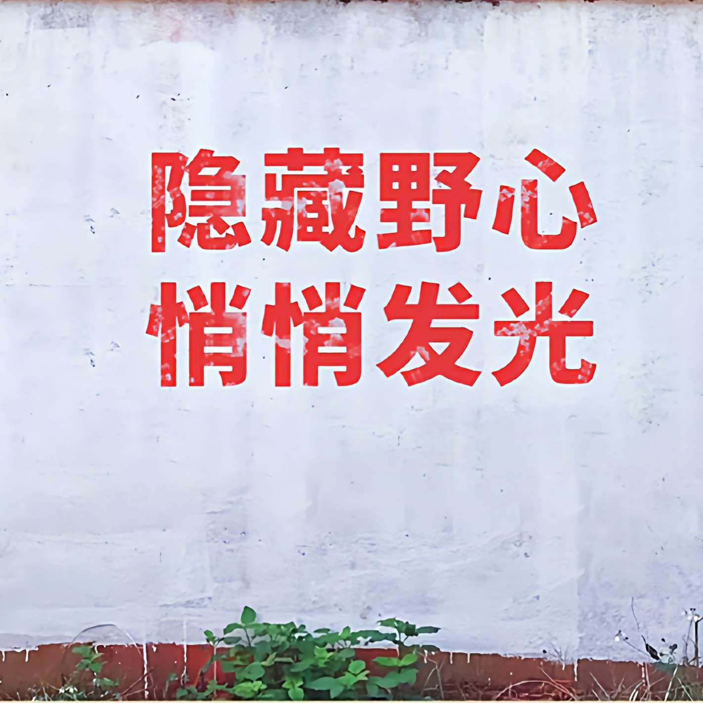 🌸.的专辑