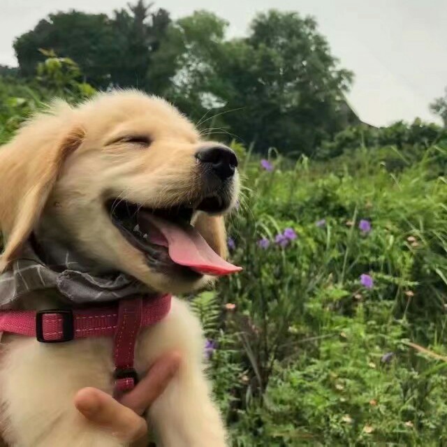 我的高中