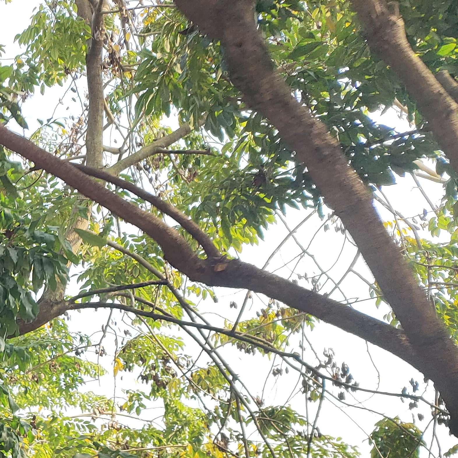 自律，学习