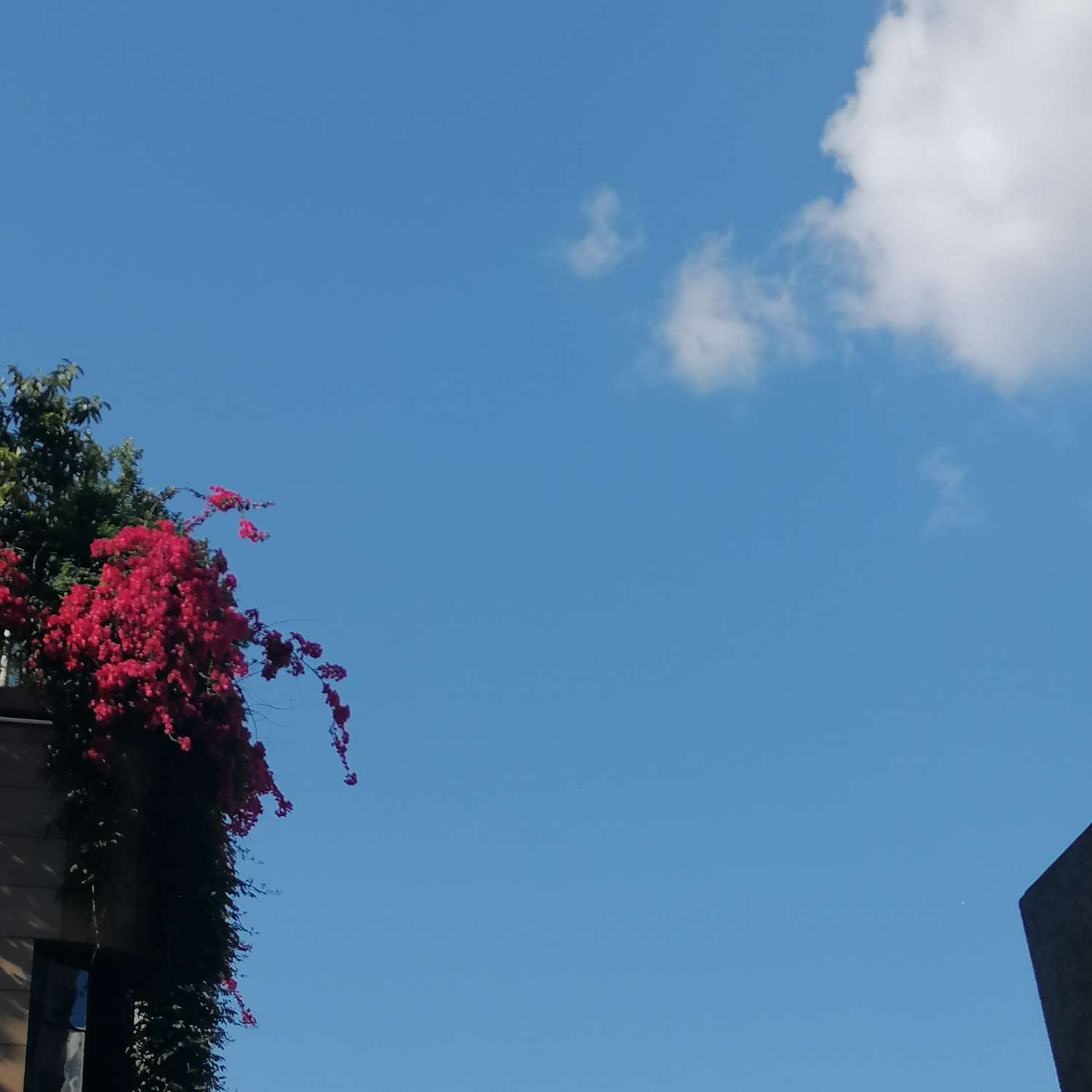 夏天