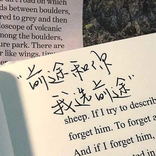 成长♚责任