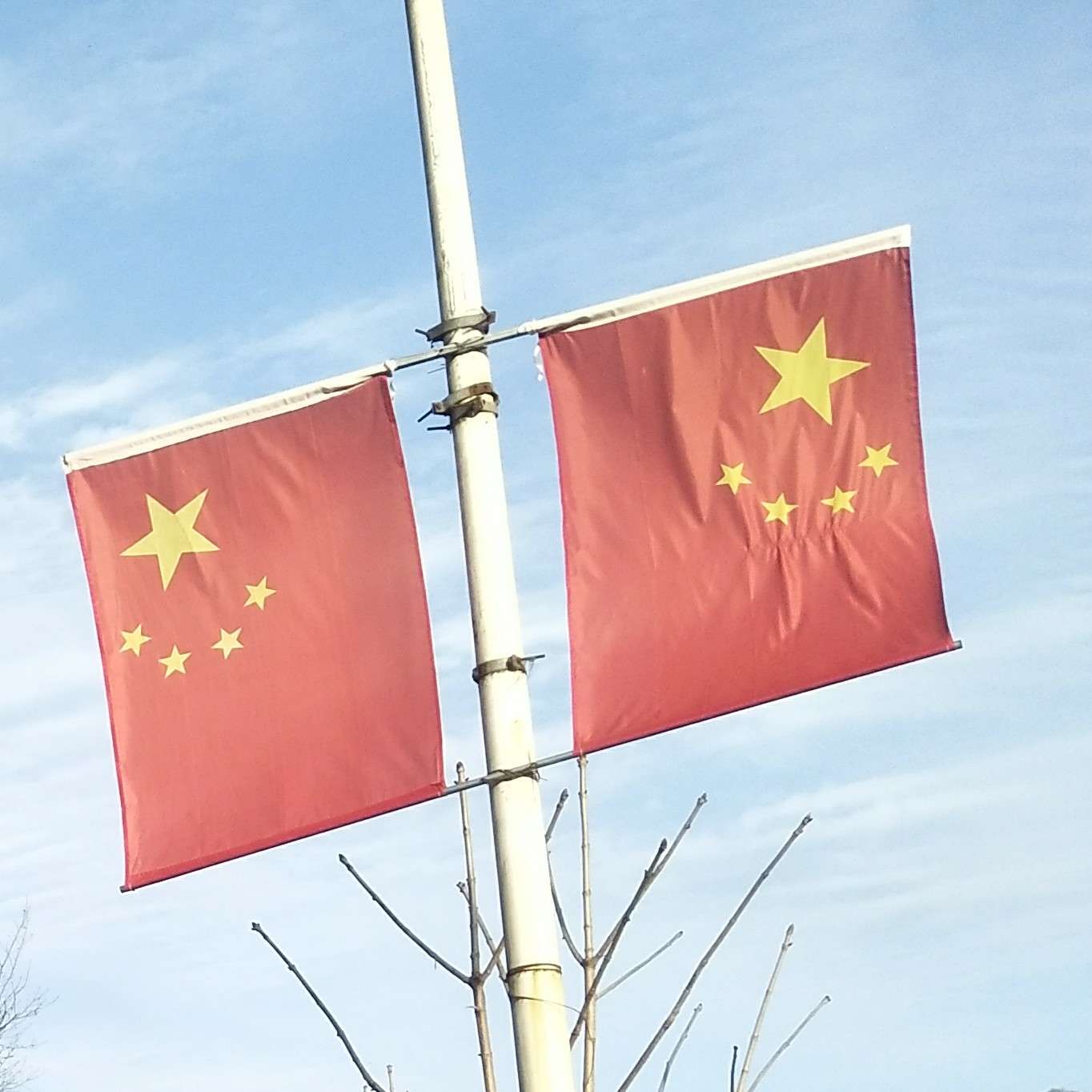 国之大