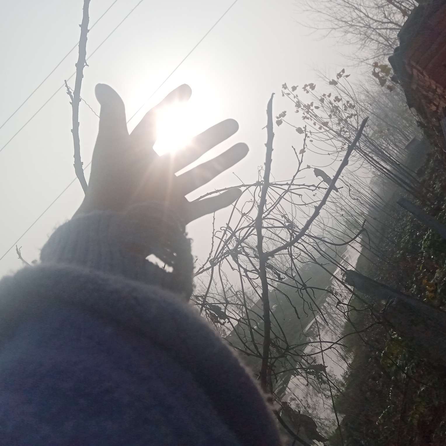年少无畏