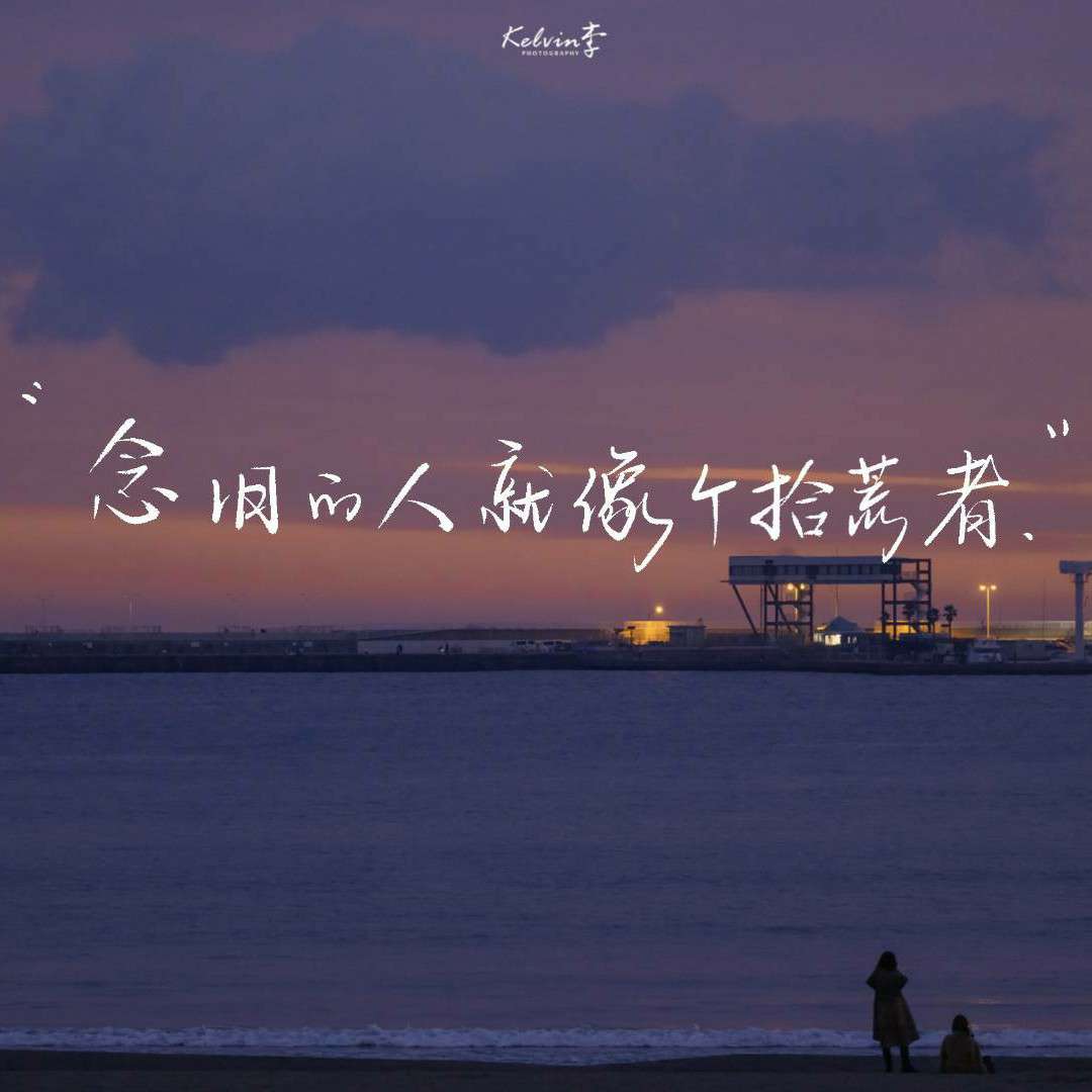 D.w的专辑