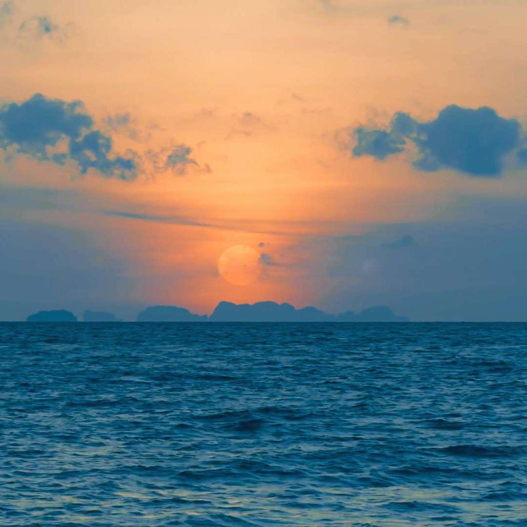 景