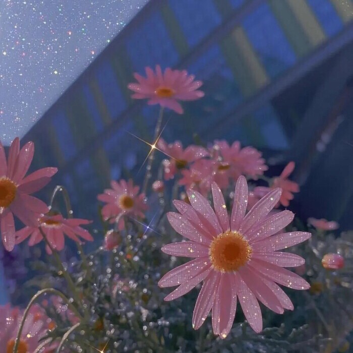 生活