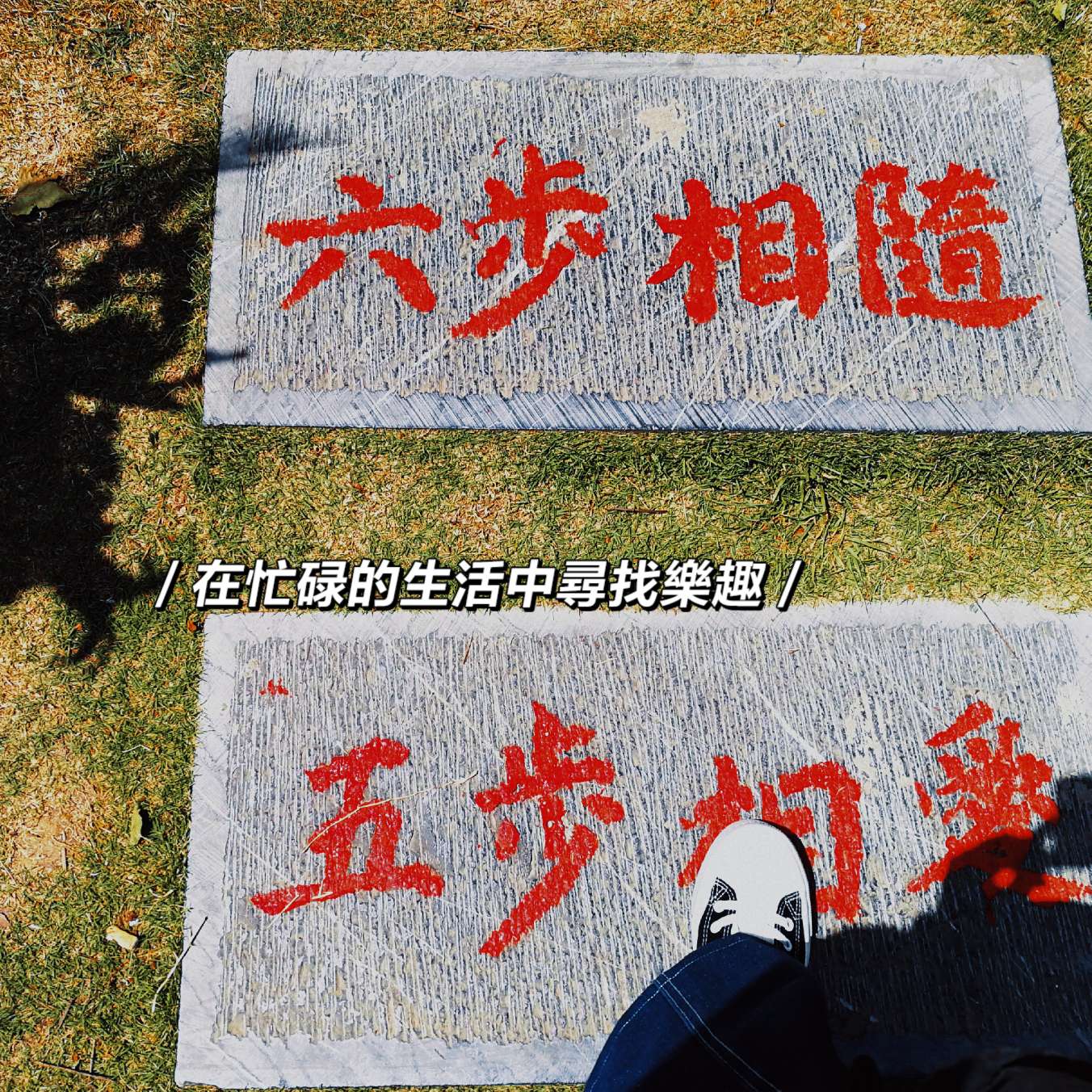 书摘